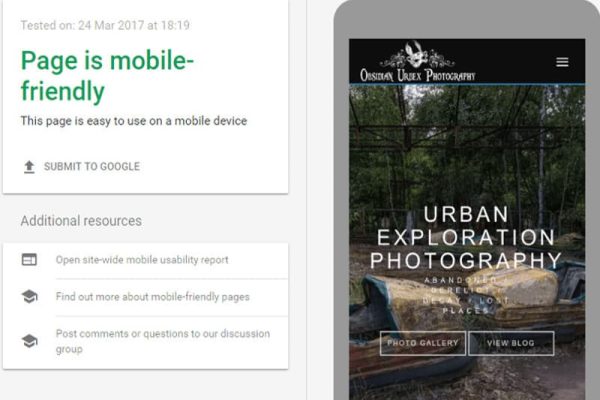 Website Speed Test Results Cropped