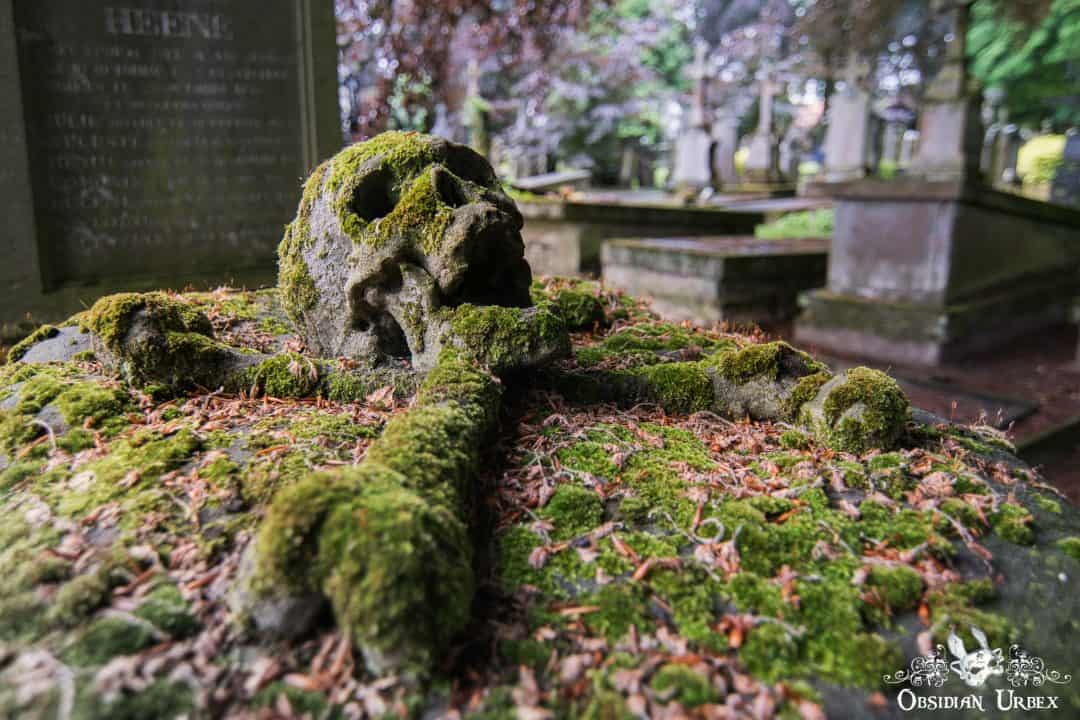 Cemetery Of The Skull Belgium Moss Covered Skull Gravestone