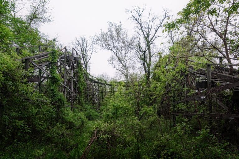 Wooden Rollercoaster USA Featured Image