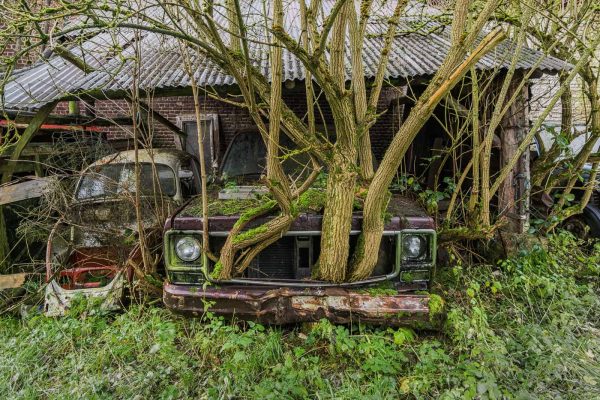 Biofuel Farm Belgium Featured Image