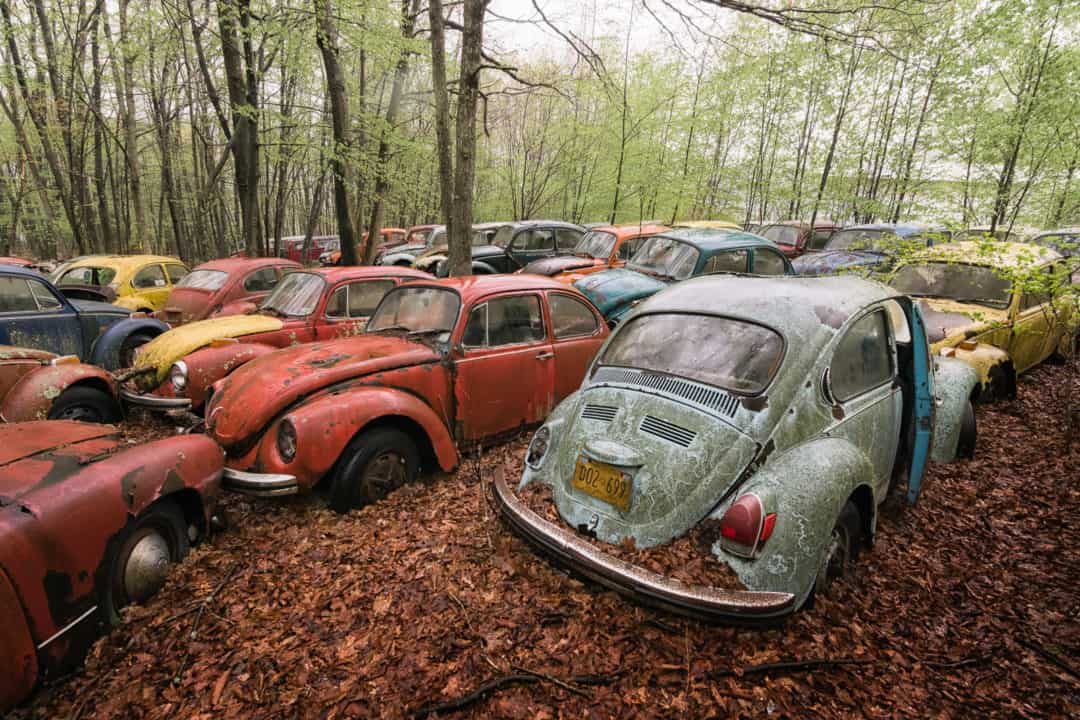 VW Beetle Car Graveyard USA Featured Image