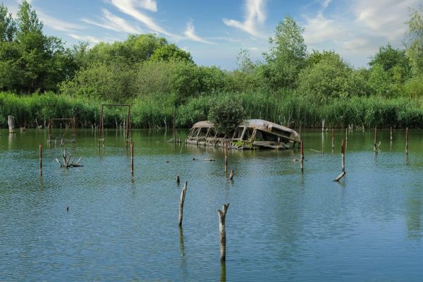 Buswrack im See Abandoned Bus Germany Featured Image
