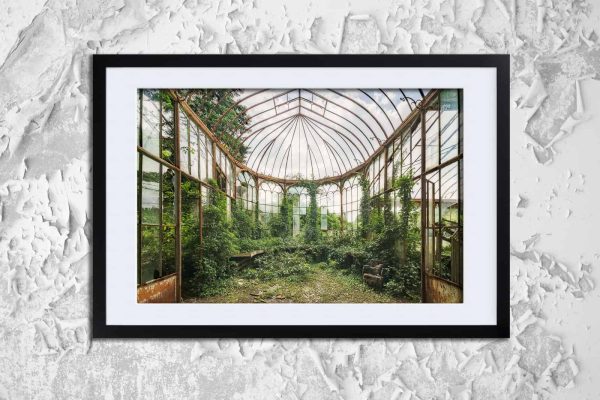 Verdant Overgrowth An Abandoned Greenhouse Framed Fine Art Print By Obsidian Urbex Photography Verdant Overgrowth An Abandoned Greenhouse Framed Fine Art Print By Obsidian Urbex Photography
