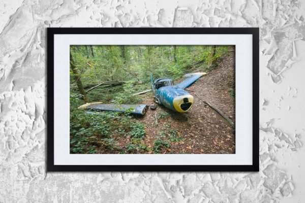 The Grounded Navion Framed Fine Art Print By Obsidian Urbex Photography Frame Detail Photo The Grounded Navion Framed Fine Art Print By Obsidian Urbex Photography Frame Detail Photo