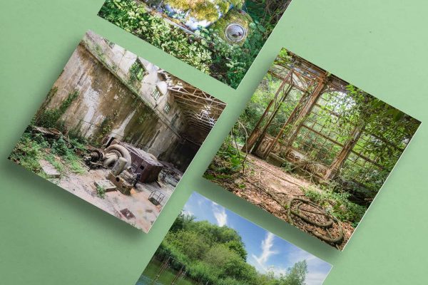 Greeting Cards Cards Reclaimed By Nature Series Urban Exploration Places Gift By Obsidian Urbex Photography Numbered Designs