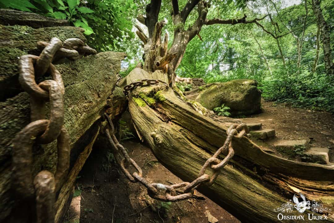 The Chained Oak England Ancient Tree From English Folklore