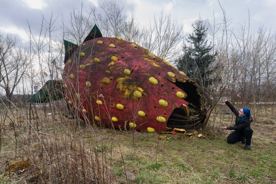 Poland 2023 The First Polish Tour Janine Pendleton And The Giant Abandoned Strawberry