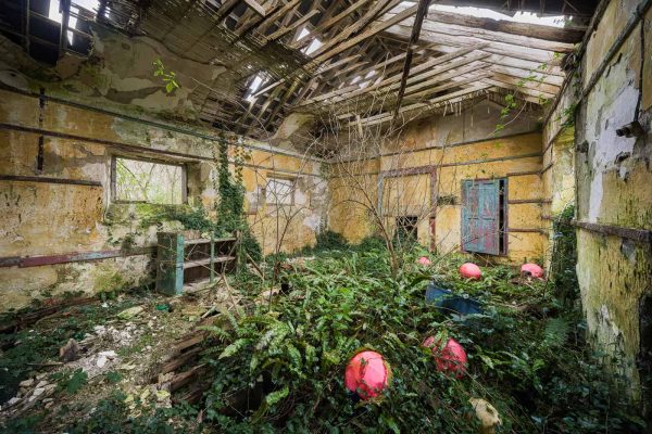 Fishermans School Ireland Featured Image