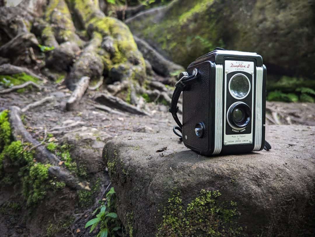 Kodak Duaflex II 1950s Box Camera Standing On A Rock In Forest