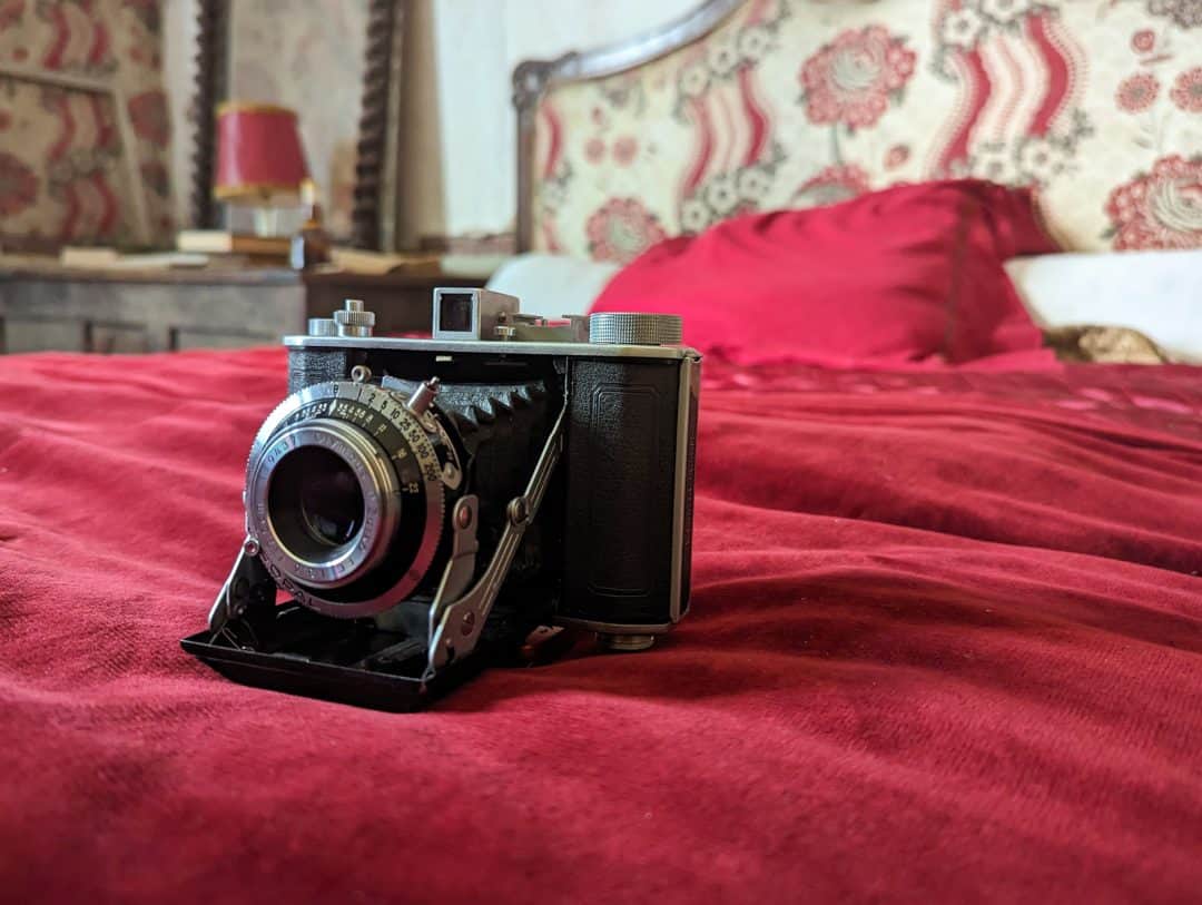 South France Road Trip 2023 Olympus Six Chilling On The Bed