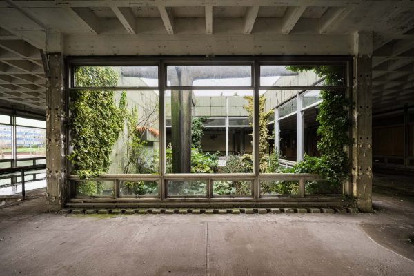 Terrarium Industrialis England Featured Image