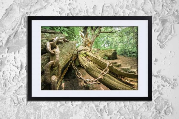 Whispering Chains Framed Fine Art Print By Obsidian Urbex Photography Frame Detail Photo Whispering Chains Framed Fine Art Print By Obsidian Urbex Photography Frame Detail Photo