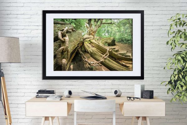 Whispering Chains Framed Framed Fine Art Print By Obsidian Urbex Photography On Office Wall