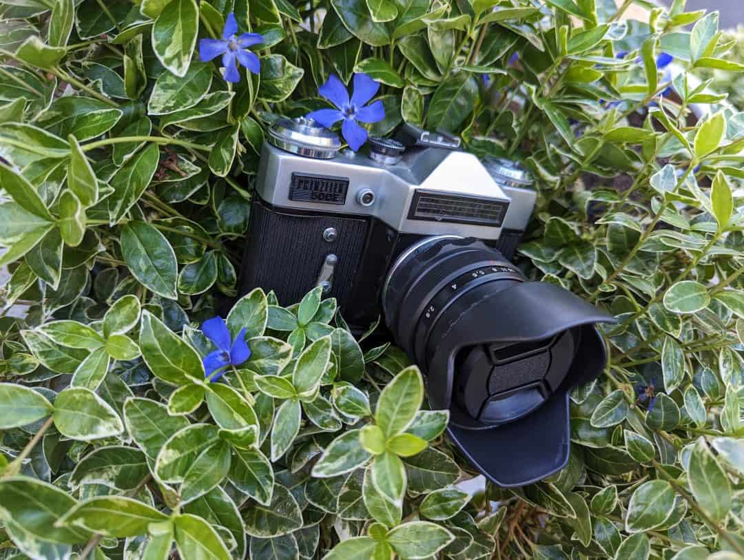 Zenit E With Mir 1 b In Purple Flowers