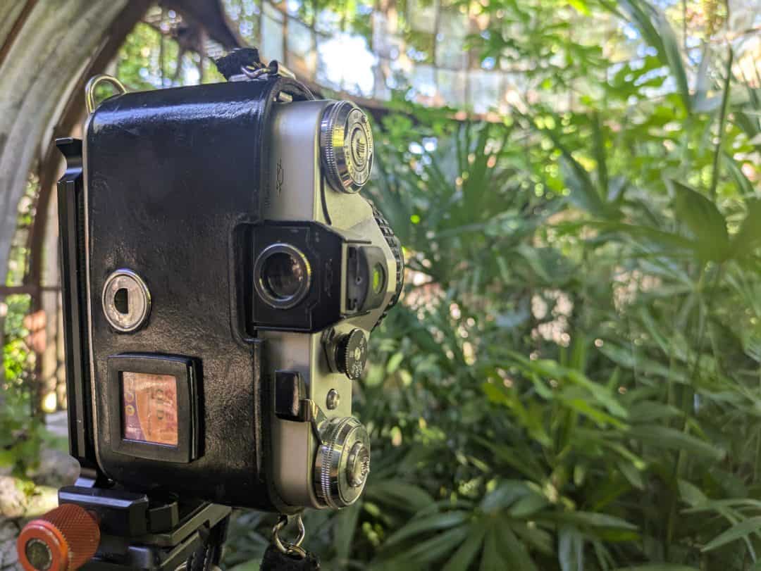 Italy 2025 Urbex Road Trip Beautiful Abandoned Greenhouse